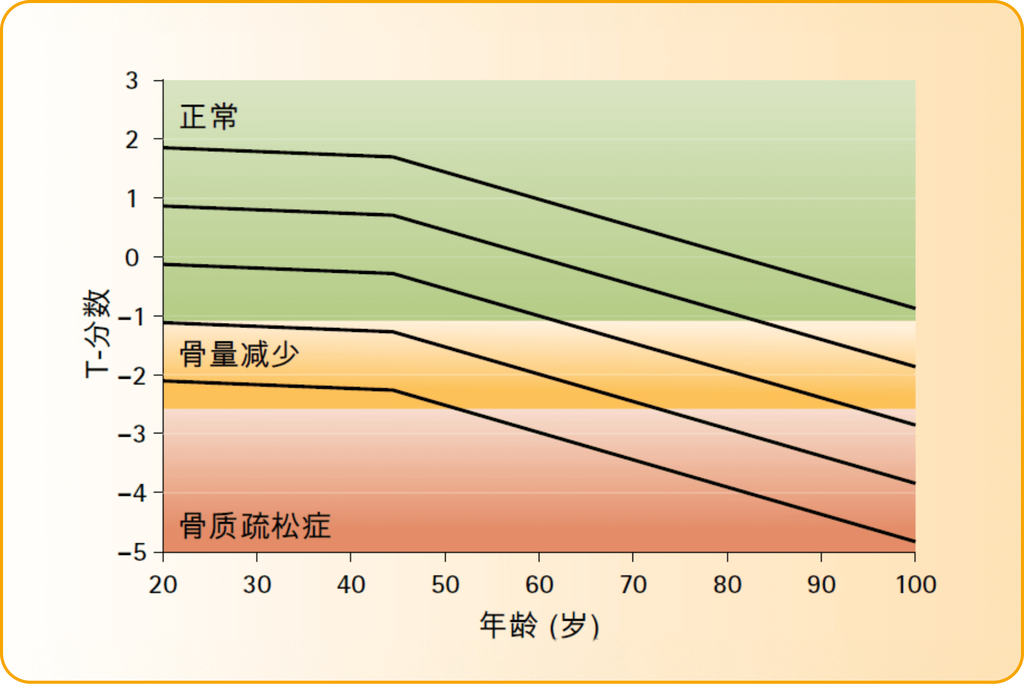 新型膳食方案，维护骨骼健康 富骨宝FORTIBONE